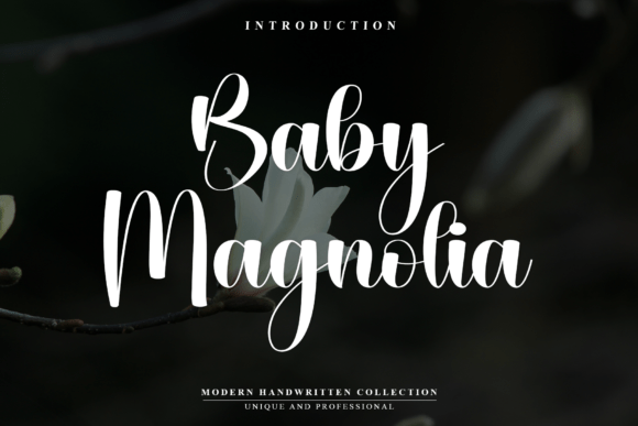 Baby Magnolia: A Typeface for Polished Brands