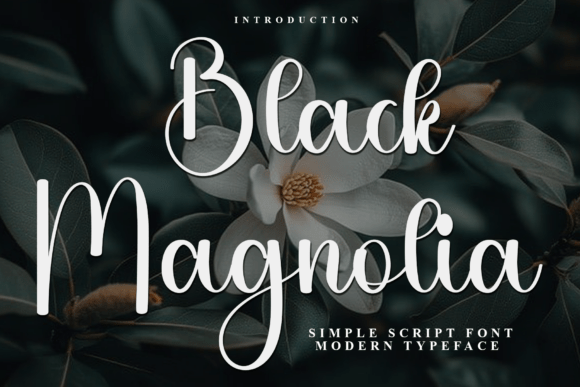 Black Magnolia Typeface for Modern Web Design